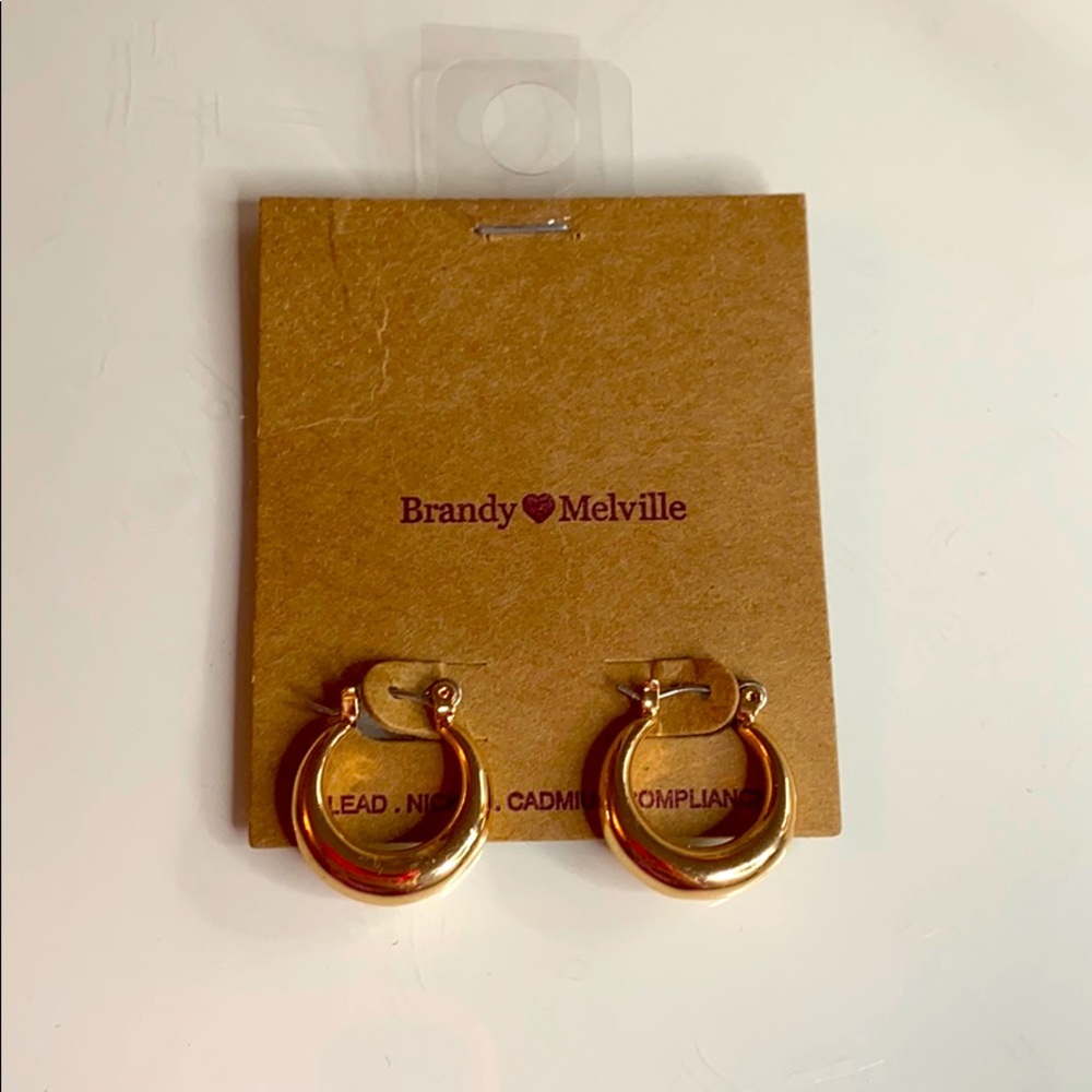 NWT Brandy Melville Gold earrings